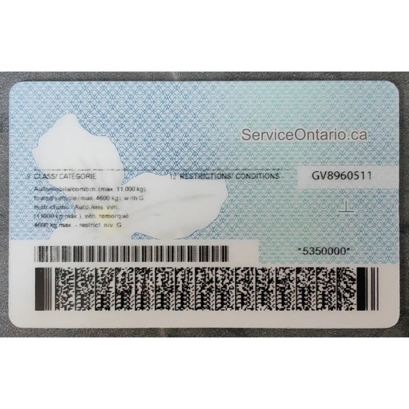 Ontario Driver Licence